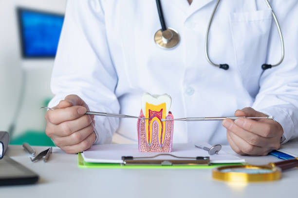 Best Emergency Orthodontic Repairs in Sneads Ferry, NC